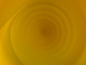 做无代码项目失败的三大原因